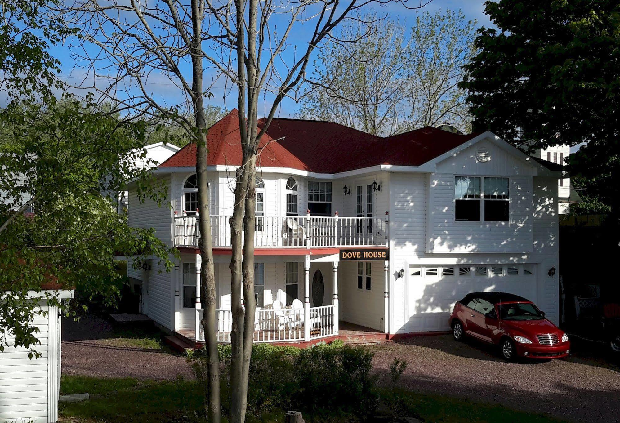 Dove House Bed & Breakfast Harboursideノースシドニー エクステリア 写真